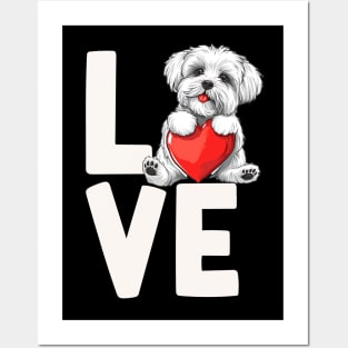 Maltese Love Posters and Art